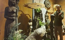 Trăm năm hồn lũa