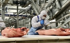 Nhiều doanh nghiệp “lội ngược dòng”, lãi lớn