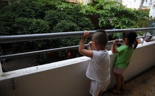 Nhiều quy chuẩn an toàn xây dựng bị phớt lờ