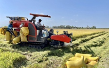 ĐBSCL đang chuyển hướng