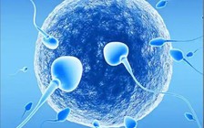 Uống vitamin này làm tăng sức mạnh cho tinh binh