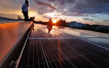 Sẽ đấu thầu dự án điện mặt trời