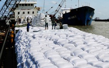 Đừng sốt ruột vì giá gạo giảm