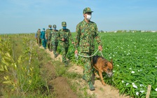 Tin tức đặc biệt trên báo in ngày 24.4.2021