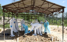 Đông Nam Á giữa vòng vây Covid-19