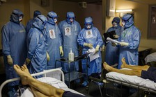 Hai bức tranh Covid-19