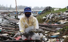 Cá nuôi trong lồng chết hàng loạt