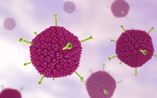 Hướng dẫn mới của CDC Mỹ về bệnh viêm gan bí ẩn