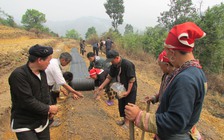 Khám phá thảo dược Việt: Cuộc đua trồng thảo dược