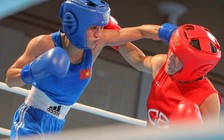 Việt Nam lần đầu tổ chức boxing nhà nghề