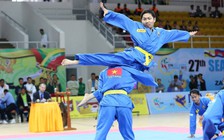 Biểu diễn Vovinam ở lễ hội văn hóa thể thao Việt - Nhật