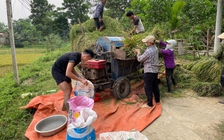 ‘Nam vương’ điền kinh Quách Công Lịch về quê gánh lúa