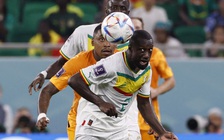 Dự đoán tỷ số tuyển Hà Lan vs Ecuador, Qatar vs Senegal, World Cup 2022 hôm nay