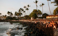 Hawaii ban bố tình trạng khẩn cấp vì muỗi vằn
