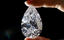 Sau 12 năm, 7 nghi can vụ cướp kim cương 72 triệu USD sa lưới