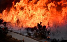 California kêu gọi người dân tắt bớt điện để phòng chống cháy rừng