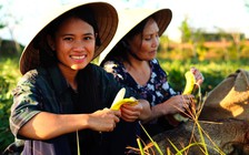 Cô gái trẻ bỏ phố về quê: ‘Má nói nếu mệt quá thì về đi’