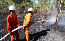 Bán đảo Sơn Trà cháy lớn, du khách xếp hàng dài chờ tham quan chùa Linh Ứng