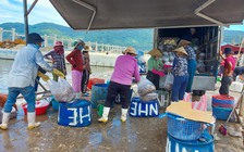 Đà Nẵng dừng cảng cá Thọ Quang phòng Covid-19: Ngư dân tất bật đội nắng bán cá