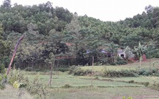 Hai cha con bị sét đánh tử vong khi đang ngủ trên giường