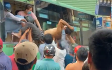 TP.HCM: Xe tải đối đầu xe buýt, tài xế mắc kẹt trong cabin