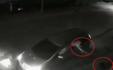 TP.HCM: Nhóm người đi ô tô trộm chó ở vùng ven