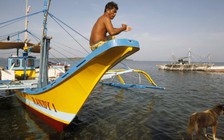 Philippines 'né' chuyện bãi cạn Scarborough để bán chuối, thơm sang Trung Quốc