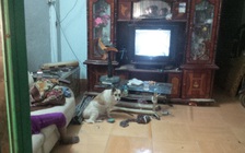 Chú chó trung thành không chịu rời xác chủ khi công an vào khám nghiệm