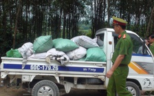 Lợi dụng nghỉ lễ vào rừng phòng hộ đổ trộm rác thải công nghiệp