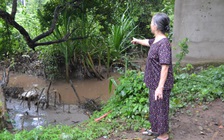 Xử phạt công ty Đài Loan xả nước thải ô nhiễm ra sông Đồng Nai 205 triệu đồng