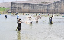 Cả trăm người săn cá khủng dưới chân đập thủy điện Trị An