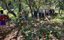 Một thanh niên ngụ TP.HCM chết trong tư thế treo cổ trên cây điều ở Đồng Nai