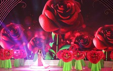 Lâm Đồng: Không tổ chức Festival Hoa Đà Lạt 2021