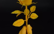 Chàng trai làm hoa hồng từ bí đỏ khiến dân mạng trầm trồ vì quá đẹp