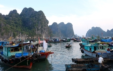 Quảng Ninh cấm tàu, hơn 5.000 khách du lịch 'mắc kẹt' ở các đảo