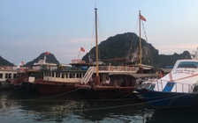 Dừng tham quan vịnh Hạ Long, đưa du khách rời Cô Tô tránh áp thấp nhiệt đới