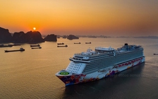 Hàng vạn du khách nước ngoài đến Quảng Ninh đón năm mới