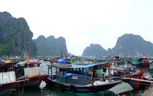 Cấm tàu tham quan vịnh Hạ Long, vận động khách rời Cô Tô trước bão số 3