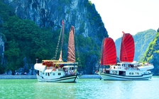 Tạm dừng hoạt động 167 tàu nghỉ đêm trên vịnh Hạ Long do bão số 4