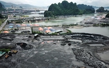 Cảng than trái phép bức tử vịnh Bái Tử Long