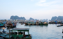 Quảng Ninh cấm biển vì ảnh hưởng của bão số 5