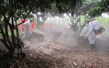 Lợn chết vì bệnh tả châu Phi, người dân tự ý đem chôn sau vườn