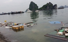 Vịnh Hạ Long mỗi ngày phải 'gánh' 7 tấn rác thải