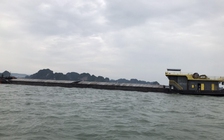 Điều tra vụ vận chuyển gần 1.000 tấn than lậu trên vùng biển Hạ Long