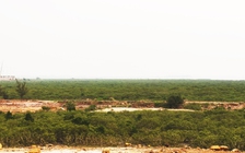 Quảng Ninh xin chuyển hơn 32 ha rừng phòng hộ để mở rộng KCN Texhong Hải Hà