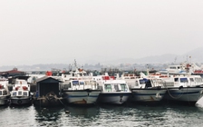 Ảnh hưởng của bão số 2, Quảng Ninh cấm biển từ chiều nay