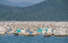 Quảng Ninh ra quân xử lý 'bẫy tử thần' trên vịnh Bái Tử Long