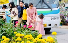 Các làng hoa ngoại thành Hạ Long hối hả vào vụ tết, khách tấp nập chọn mua