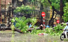 Ban tổ chức V-League ‘méo mặt’ vì cơn bão số 1