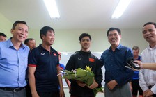 'Đội U.22 Việt Nam và tuyển nữ phải coi mỗi trận đấu ở SEA Games như một trận chung kết'
